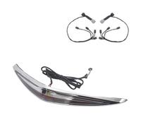 Motocicleta Portaequipaje Alerón Trasero ABS para Motocicleta Goldwing 1800 GL1800 2018 2019 2020 Luz De Freno Trasera LED Roja Intermitentes.(C)
