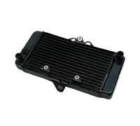 Motocicleta Rejilla Protectora Radiador para VTR250 VTR 250 1997-2007 1999 Accesorios De Motocicleta Radiador Enfriador Cubierta Protectora De Enfriamiento Tanque De Agua Protector De Red