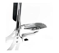 Motocicleta Respaldo Pasajero Portaequipajes con respaldo para pasajero para Chief Dark Horse Springfield Vintage Cl&assic para Challenger Chieftain 14 en adelante