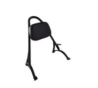 Motocicleta Respaldo smontable Respaldo trasero para motocicleta para Jinjira 300 para ROCK300 para Graystone 250, parachoques modificado, barra anticaída, bolsa lateral