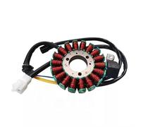 Motocicleta Stator Bobina Accesorios Para La Bobina Del Estator Magneto Generador De Motocicletas Motor Para ZT310-R/T/V/X ZT250-S/R 310R 310T