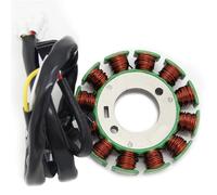 Motocicleta Stator Bobina Bobina Arranque Estator Magnético Motocicleta Para WR250F 2004-2014 5UM-81410-09-00 5UM-81410-31-00