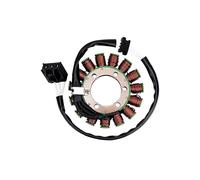 Motocicleta Stator Bobina Bobina De Estator Encendedor Pieza Motocicleta Magneto 2D000049 Para Tuono 1100 RR 2016 2017