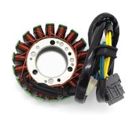 Motocicleta Stator Bobina Bobina de estator magnético para motocicleta para DS250 DS 250 2008-2016 S31120RCA000 Accesorios