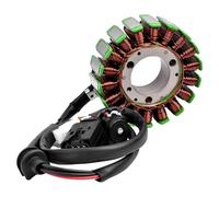 Motocicleta Stator Bobina Bobina Del Estator Encendido Magneto Generador 12311540515 Piezas De Motocicleta Para G310R 2016 2017 2018 2019 2020