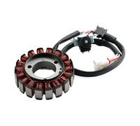 Motocicleta Stator Bobina Bobina Estator Generador Magneto Para WR125R WR125X MT125 YZF-R125 22B-H1410-00-00 3C1-H1410-11-00
