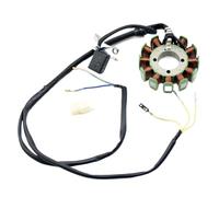 Motocicleta Stator Bobina Bobina Estator Magneto 12/18 Polos Para Accesorios Motocicleta Para CG250 CG200