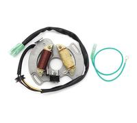 Motocicleta Stator Bobina Bobina Estator Magneto Encendido Motocicleta Para YFS200 1990-2002 Para Bl&aster 1988-1989 3JM-85560-00 2XJ-85560-M0