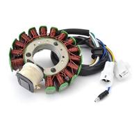 Motocicleta Stator Bobina Bobina Magneto Estator Encendido Para TTR225 TT-R225 1999-2004 Para XT225 Para Serow 225 2001-2007 Para ST225 Para Bronco 1997