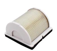 Motocicletas Accesorios Para YAMAHA XP500 T-MAX 2005-2007 GTS1000 1993-1998 XP 500 GTS 1000 Rejilla Limpiadora De Filtro Aire Para Motocicleta 4BH-14451-00-00 4BH-14451-01-00