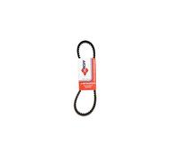 Motodak - Correa Maxi Scooter mitsuboshi Compatible con 125 daelim s1/s2/otello/freewing (861 x 21.7)