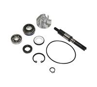 Motodak Kit de reparación Bomba de Agua maxiscooter Adaptable Honda 125 SH 2001+, 125 Pantheon 2003+, 125 Dylan 2004+ (Kit) -p2r