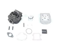 Motodak - Motor superior Polini de hierro fundido Yamaha BW'S - MBK Booster