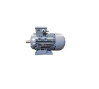 Motor AC 1,5 kW trifásico 50Hz 3,6A 1445rpm 1879867
