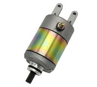 Motor arranque Para Linhai Para BigHorn 260 300 400 2x4 4x4 ATV UTV 4714800182 R19040191A0 94800100 AP8552123 Piezas Motor Arranque Eléctrico Motocicleta