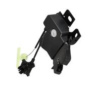 Motor Cierre Puerta Coche Para Ford Para Mustang 2005 2006 2007 6R3Z6343200B 1R8Z5446318AA Cerradura Actuador Pestillo Maletero Puerta Trasera Coche 3 Pines