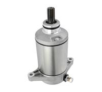 Motor de Arranque de Motocicleta para Arctic Cat 250 2x4 L 249cc CID 1999-2005 300 2x4 280cc 1998-2002 31100-19B00 31100-19B20 10 Dientes