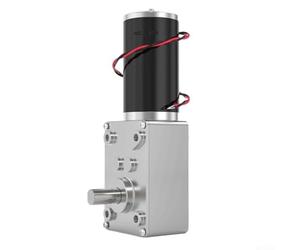 Motor de caja de cambios CC 12 V 24 V con engranaje sin fin para reducir la velocidad y par mejorado adecuado para robótica y pequeñas tareas de automatización (24 V40 RPM)