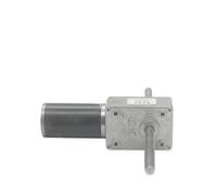 Motor de CC de doble eje con tornillo de salida doble, 5840-31ZY, M8 x 72 mm, con bridas, 12 V, 24 V, 12-470 rpm, con elevador de tornillo sin fin(24V and 2 flangs,160RPM,Same Direction)