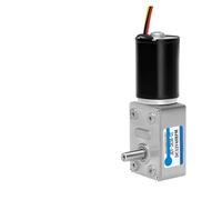 Motor de desaceleración sin escobillas JGY-2838 Micro Worm Gear 12 V 24 V ajustable hacia adelante y hacia atrás motor giratorio (24 V 46 rpm)