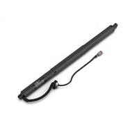 Stabilus Powerise® 711796 - Accionamiento eléctrico para maletero automático para Chrysler Pacifica