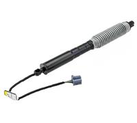 Motor de elevación de la tapa del maletero derecha AE-BM-115 NTY para BMW 7