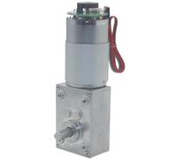 Motor de engranaje de reducción de gusano de turbina DC12V 24V 5840-555 CW CCW con codificador códec 12 16 27 40 80 160 260 470RPM