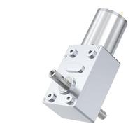 Motor de engranaje helicoidal Turbo de doble eje, JGY-370 de alto Torque, 6V, 12V, 24V de CC, Motor eléctrico invertido, autobloqueo, eje de salida Dual(3RPM,24V Single Motor)