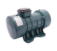 Motor de vibración 220 V 550 W, vibrador de hormigón industrial con 150 kg de fuerza de excitación y 2840 rpm, colador vibratorio ajustable eléctrico para minería, metalurgia carbón, IP44 resistente