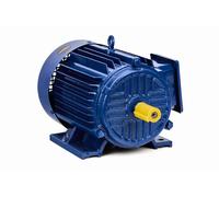Motor Eléctrico 4000W 380V 4kW Motor Trifásico 1440rpm Compresor Bomba Sierra