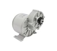 Motor eléctrico de 350 W, 36 V, con controlador, 2 unidades, motor sin escobillas para triciclos Go-Kart, ATV, 330 rpm, 11,6 N·m, alto par IP33