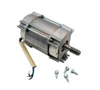 Motor Eléctrico Estator 230V Repuesto Para FAAC 415 Y Genio Mistral 60202285