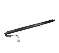 Motor Eléctrico Puerta Trasera Izquierda Hub 222 mm METZGER para u.a. FORD KUGA