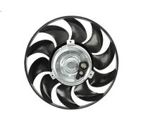 Motor eléctrico, ventilador del radiador THERMOTEC para 80 B4 Sedán 2 1991-