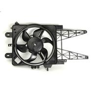 Motor eléctrico, ventilador del radiador THERMOTEC para PUNTO (188_) 1.2 1999-