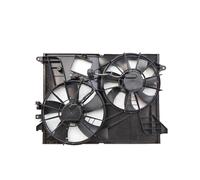 Motor Eléctrico Ventilador Refrigeración Para CAPTIVA C140 Para VAUXHALL ANTARA SATURN VUE 2011 2012 2013 2014-2017 Conjunto Ventilador Radiador Refrigeración Eléctrico 95297048 95410545