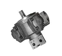 Motor hidráulico de pistón radial de cinco estrellas, motor de accionamiento hidráulico de alto par y baja velocidad NIM2-100 for moldeo por inyección(NIM2-175)
