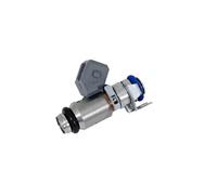 Magneti Marelli Inyector 805001571701 – gasolina para VW Golf Cabriolet y Renault Mégane/Clio/Laguna