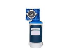 Motor reductor de engranajes helicoidales 300 W, 12 V/24 V, velocidad ajustable, gran par avance y retroceso, RV30, motor alta potencia