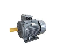 Motor síncrono de imanes permanentes con variador de frecuencia for control de velocidad de compresor de aire de 55 kW
