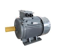 Motor trifásico de CA sin escobillas con imanes permanentes y variador de frecuencia síncrono for control de velocidad vertical(YYT132M-22kw-302W)