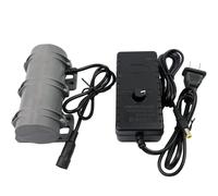 Motor vibratorio DC12V/24V,3800RPM Motor vibratorio excéntrico doble para masaje silla de cama instrumentos médicos,Motor vibratorio durable (12V Motor+EU Adaptador)