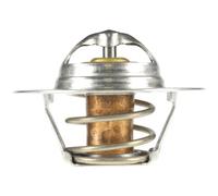 Motorad 300 - 160 termostato