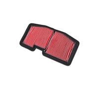 Motorcycle Air Filter for Trium T2200987 Daytona 675 VIN 564948 20112016 675 Daytona R 675 Street Triple