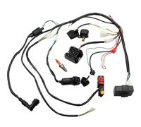 Motorcycle Bobina encendido Para CG 150cc 200cc 250cc ATV Quad Dirt Bike Arnés CDI Bobina Encendido Relé Rectificador Enchufe Eléctrico Interruptor Bloqueo Puerta Set