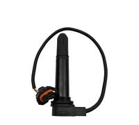 Motorcycle Bobina encendido Para QJMOTOR SRK921RR BERU Para MV Para AGUSTA F4 F4FT F4R F4RR BRUTAL BRUTALE 910 920 990 1078 1090 Para Benelli 302S Bobina Encendido