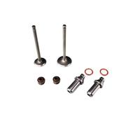 Motorcycle Engine Valve Intake Stem Seal Guide For WH100 S100 LE100 2002-2009 SP100(Full Set)