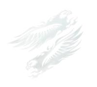 Motorcycle Sticker Pack, Car Eagle Decals, 9.06x5.71in Vintage Reflective Patch, Waterproof Authentic Material, Self Adhesive Easy Application for Vehicles, Bike, Scooter, Dirt, Laptop, Truck