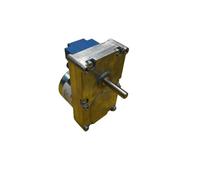 Motorreductor Estufa de pellets IPC GMF220D801 | 2 RPM 220 V | Par 18 Nm | Eje 8,5 mm | Compatible Extraflame, Dal Zotto, Opera, Bestove, Moretti | Recambio 14702150