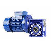 MOTORREDUCTOR TRIFASICO 220V / 400V 0,75CV / 0,55KW (28 RPM DE SALIDA)